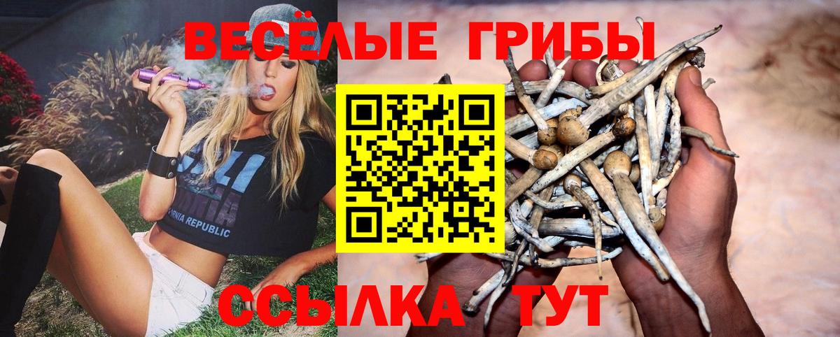Псилоцибиновые грибы прущие грибы Первоуральск